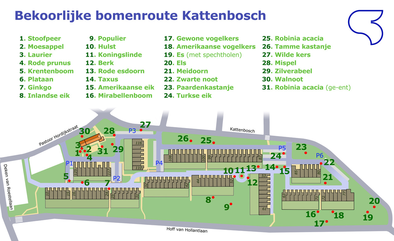 De bekoorlijke bomenroute van de wijk Kattenbosch. De 31 verschillende bomen worden weergegeven op de plattegrond van de wijk.